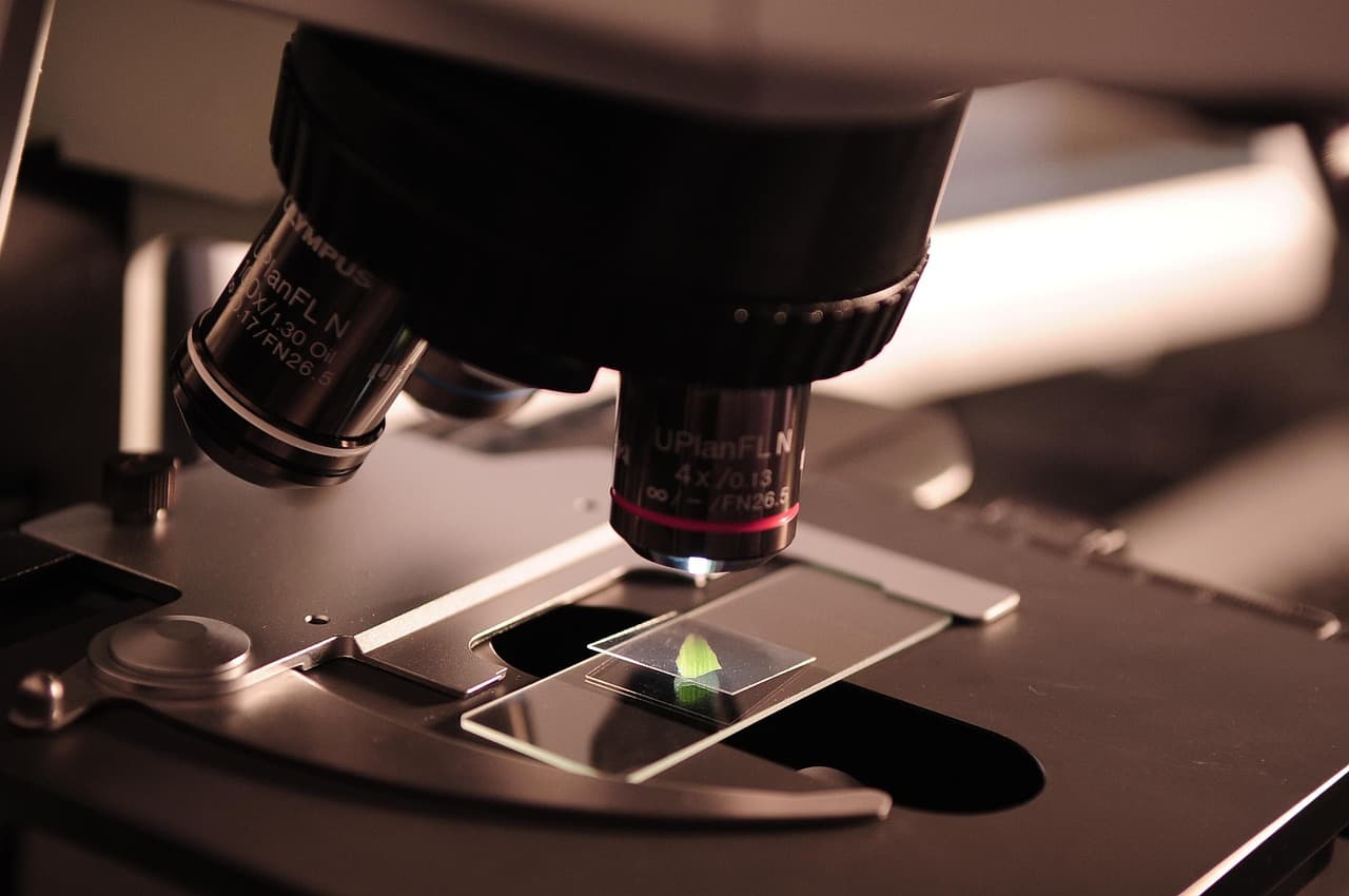 Microscope with a prepared research sample slide